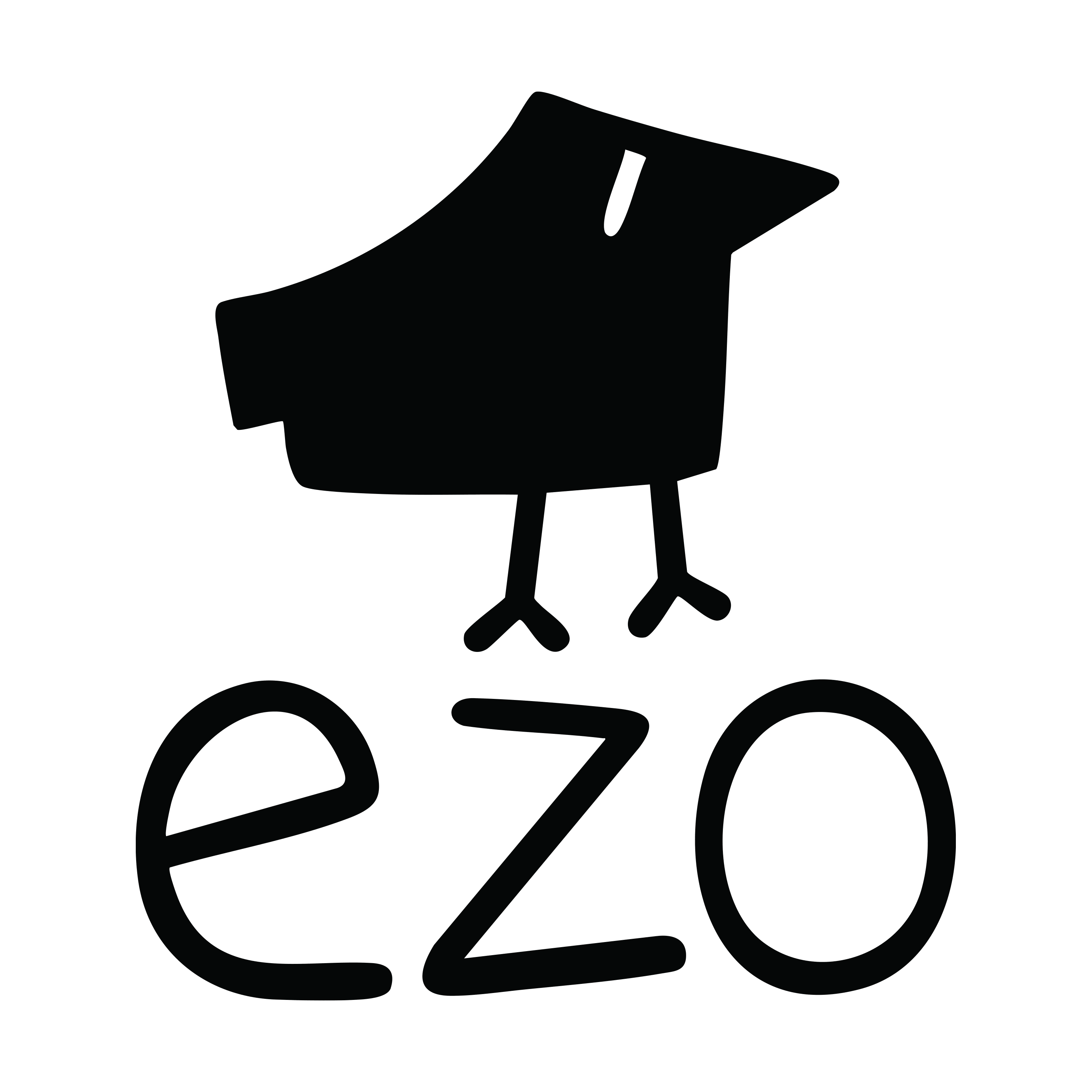 eZo